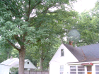 thumbs/rear_trees_800x600.png