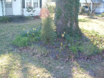 thumbs/dscf0050.small.png