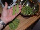 thumbs/dscf0062.small.jpg